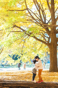 代々木公園,紅葉,記念日