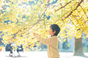 代々木公園,紅葉,記念日