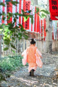 七五三,代々木八幡宮,兄弟,お宮参り